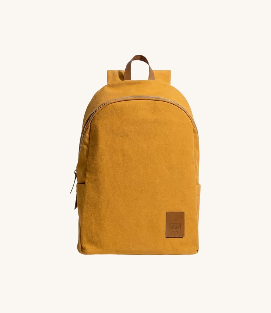 Casual Laptop Backpack
